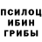 Галлюциногенные грибы Cubensis GAME BAAS