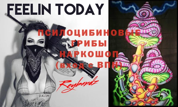 эйфоретик Балахна
